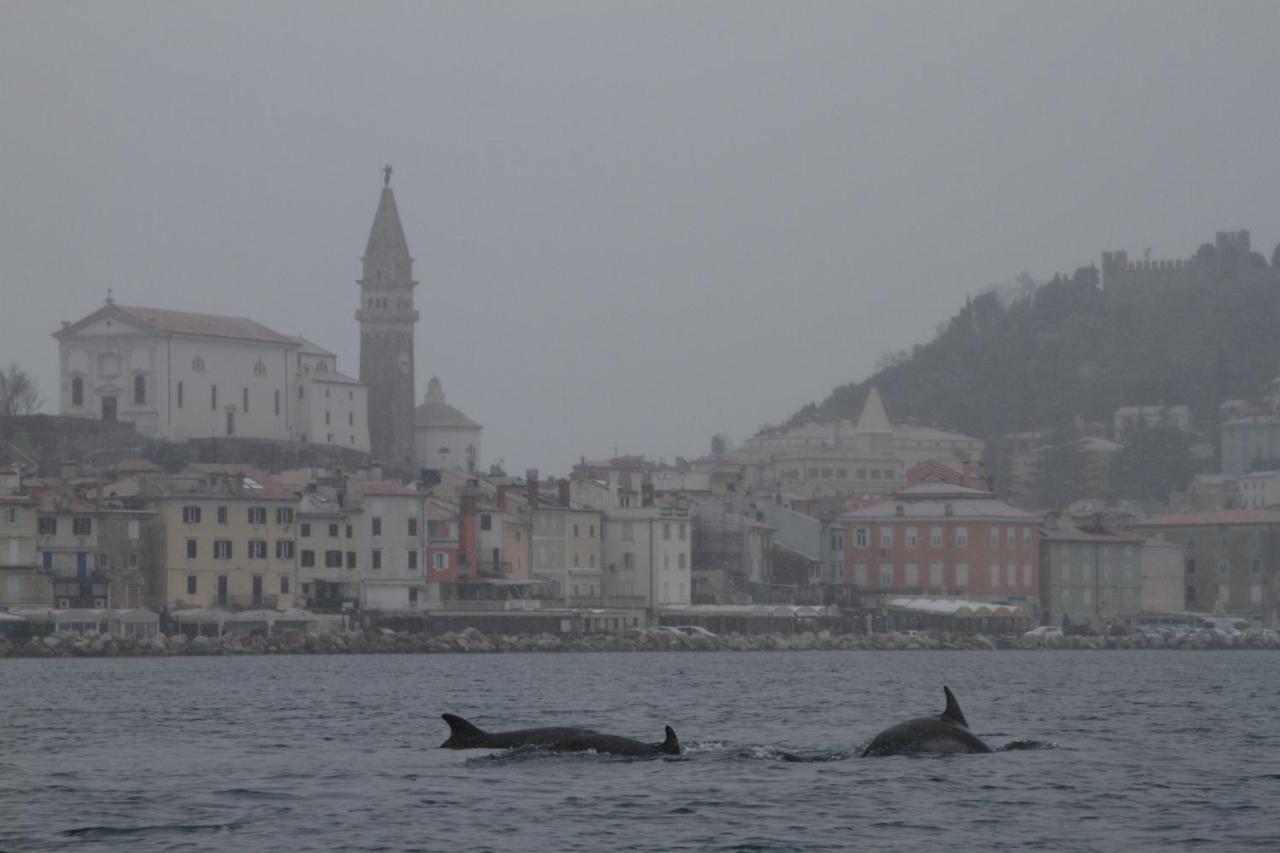 Sal & Mar Apartments Piran Bagian luar foto