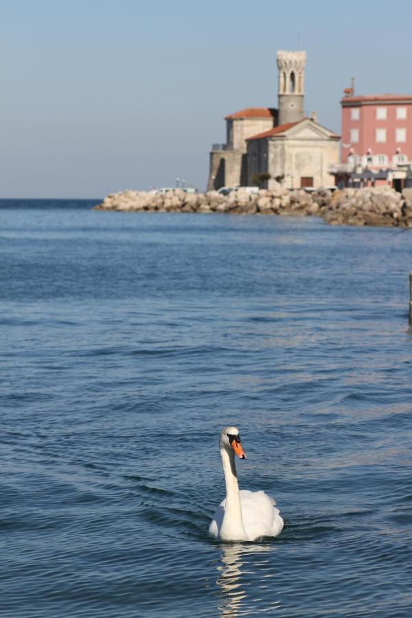 Sal & Mar Apartments Piran Bagian luar foto